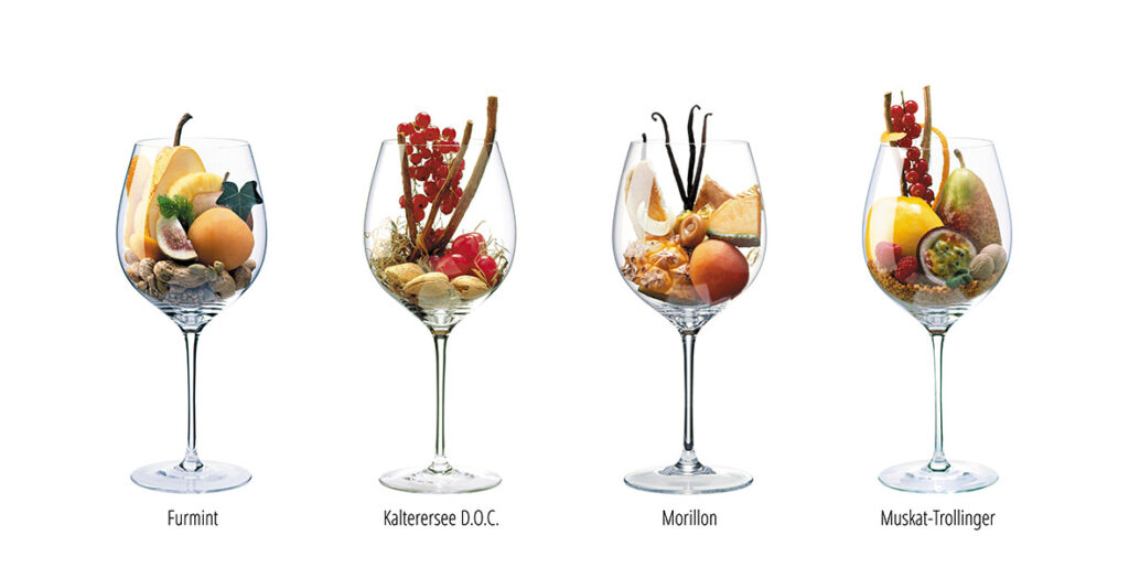 Experience the aromas of the wines in exclusive photographic representations. 1