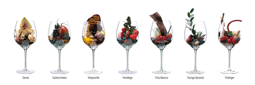 Print editions of the aroma's in het wijnglas